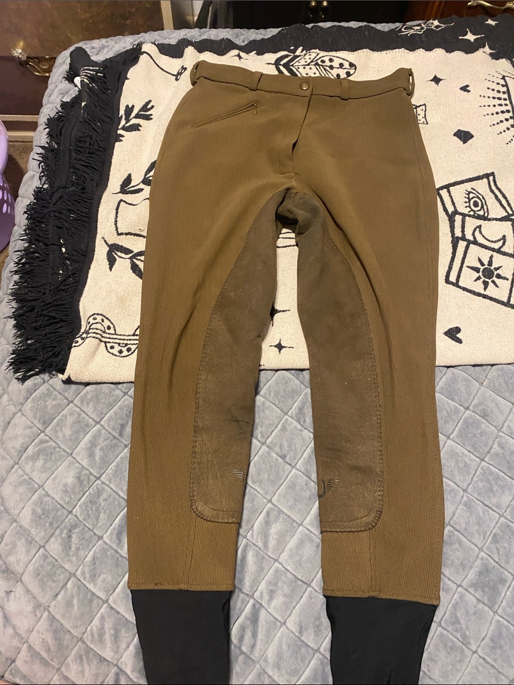 Women's Equestrian Breeches in Olive